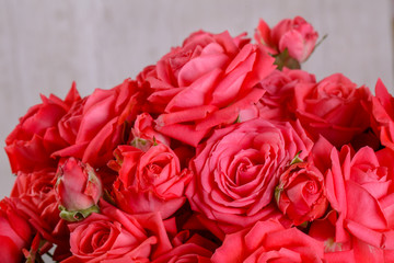 Red roses flowers