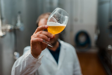 craft beer in factory