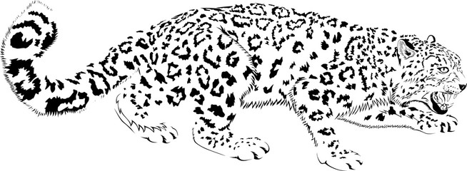 Black and white vector mountains snow leopard © Save Jungle