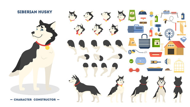 Cute Siberian Husky Dog Animation Set Isolated