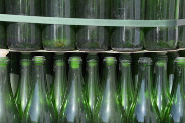 Christmas tree of bottles of champagne. Creative from bottles. Empty bottles of champagne.