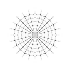 Spider web on a white background. Vector illustration