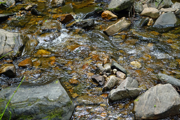 Plodda Falls