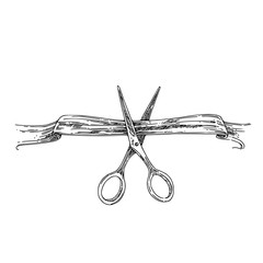 Scissors cutting the tape. Engraving style. Vector illustration. - obrazy, fototapety, plakaty