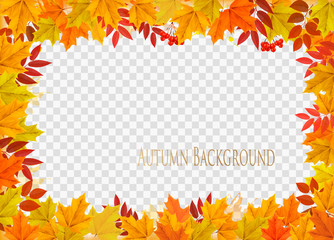 Fototapeta premium Abstract autumn frame with colorful leaves on transparent background. Vector