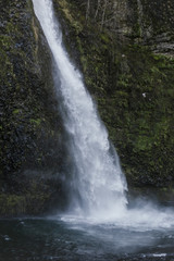 Fototapeta premium waterfall in forest