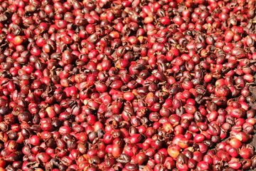 Kaffee - Beere