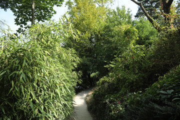 bois de boulogne