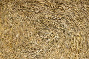 Golden straw closeup texture background