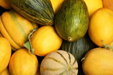 Fresh tasty ripe melons as background, top view