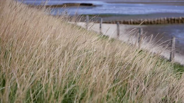 Sylt Erholung und Natur am Wattenmeer Kampen Nordfriesland Sylt