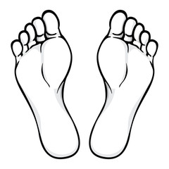 Illustration of body part, plant or sole of foot, Black white. Ideal for catalogs, information and institutional material