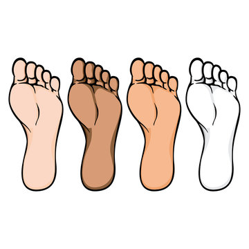 Illustration of body part, plant or sole of right foot, ethnic. Ideal for catalogs, information and institutional material