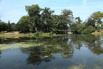 bois de boulogne