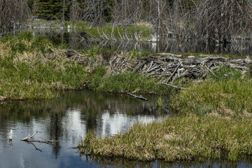 Wyoming sights to see