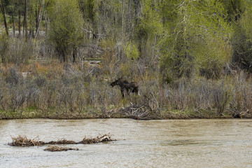 Wyoming sights to see