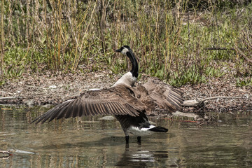 Wyoming sights to see