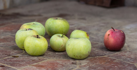 Juicy and delicious Apple lying on the table, fruit on the table. Apples on white background. apples lie on the table