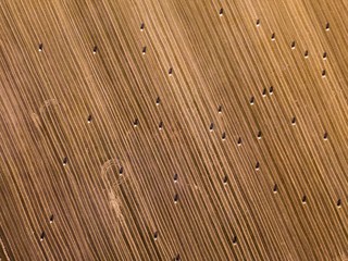 Aerial: stubble field with straw bales at late summer