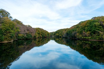 Fototapeta na wymiar 秋色に染まる湖畔の情景
