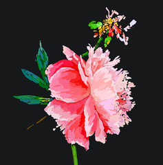 Obrazy  kwiat piwonii