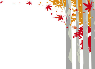 秋の紅葉の林の背景