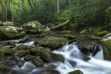 Naklejka na ściany i meble Roaring Fork - A creek in the woods with small waterfall in the Smoky Mountains.