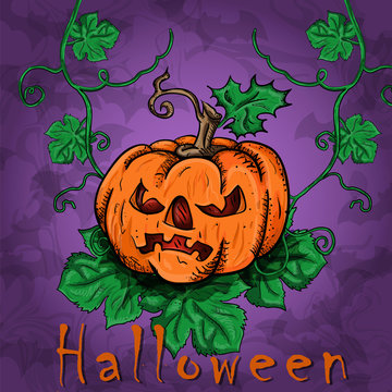 illustration_3_of pumpkin emotions on holiday in October Halloween among leaves background isolated