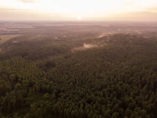 Aerial: Summer sunset over foggy forest