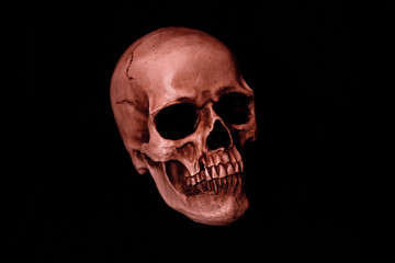 Human Red Skull on Dark Solid Background