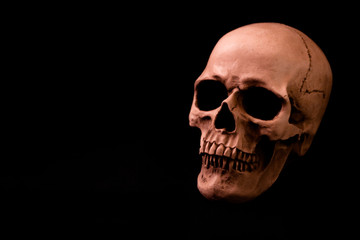 Human Size Skull on Dark Solid Background