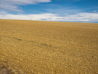 Plowed field left to rest in autumn - Villalcazar de Sirga, Castile and Leon, Spain