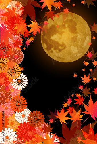 月見 紅葉 秋 背景 Wall Mural Wallpaper Murals J Boy