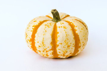 Small pumpkin on a white background