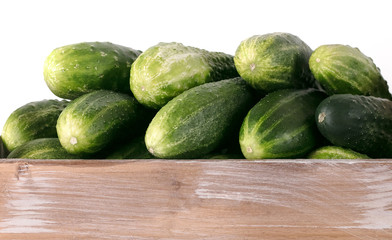 Cucumbers close-up.