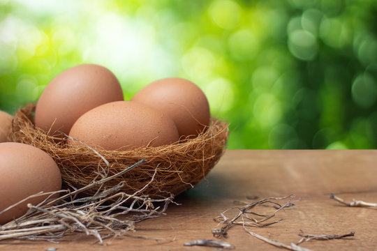 Fresh brown chicken eggs in straw on wooden table with green natural background.