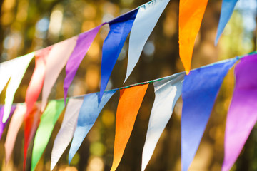 Decorative Party Pennants for Birthday Celebration