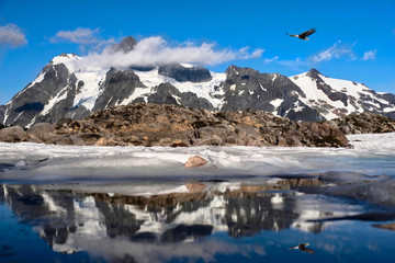 Bold Eagle flying over snowcapped mountains and reflection in little alpine lake. Summer hiking on...