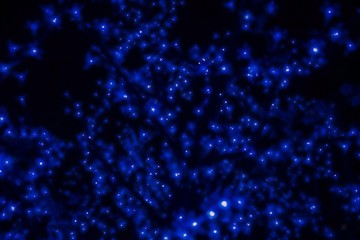 Blue lights in the night.
