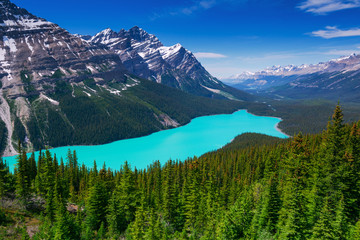 Fototapeta na wymiar Beautiful lake surrounded by mountains (Peyto Lake, Banff National Park, Alberta, Canada)