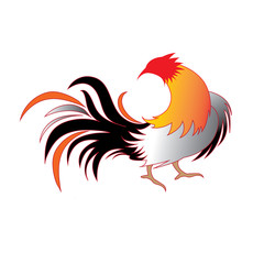 Vector Design Rooster for Logo Template