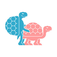 Turtle sex. Tortoise intercourse. Reptile isolated. Animal reproduction