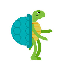 Turtle cartoon style isolated. tortoise Vector illustration.