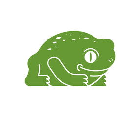 Frog isolated. Toad on white background. Vector illustration.