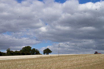 Clouds over recently tilled farmland field in the rural county of Hampshire