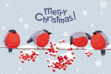 Vector bullfinches and rowan Christmas image - 222398052
