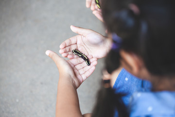 Fototapeta premium Black caterpillar crawling on child hand. Child girl holding and playing with black caterpillar with curious and fun.