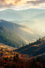 Obraz premium piękne popołudnie w górach. piękna jesienna pogoda. najbliższy las w kolorowych liściach. odległa góra we mgle. pionowy