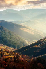 Fotobehang mooie middag in de bergen. heerlijk herfstweer. dichtstbijzijnde bos in kleurrijk gebladerte. verre berg in nevel. verticaal © Pellinni