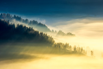 Naklejka na ściany i meble deep fog above the valley at sunrise. beautiful autumn background in mountains. lovely nature abstract scenery